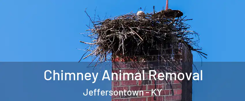  Chimney Animal Removal Jeffersontown - KY