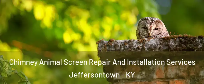  Chimney Animal Screen Repair And Installation Services Jeffersontown - KY