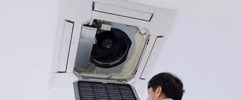 Benefits of Professional Air Duct Cleaning in Jeffersontown, Kentucky