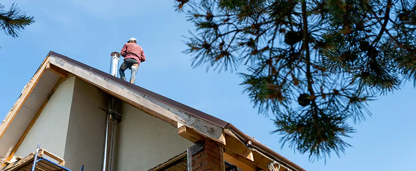 Birds Removal Contractors from Chimney in Jeffersontown, KY