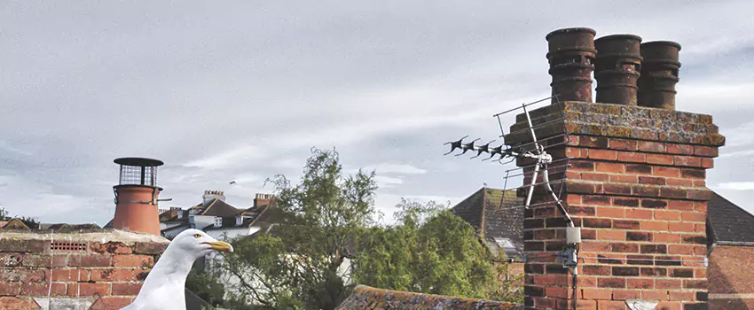 Chimney Cleaning And Restoration in Jeffersontown, Kentucky