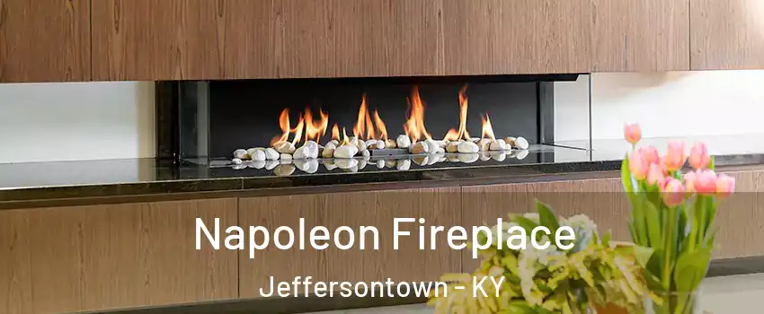  Napoleon Fireplace Jeffersontown - KY